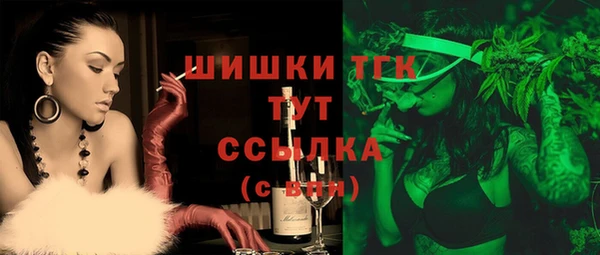 крисы Козловка