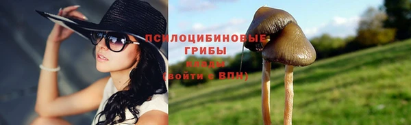 молекула духа Кодинск