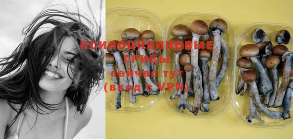 крисы Козловка