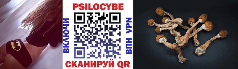 Купить  Петропавловск-Камчатский  Галлюциногенные грибы Cubensis