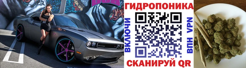 Купить Петропавловск-Камчатский Бошки марихуана Bruce Banner